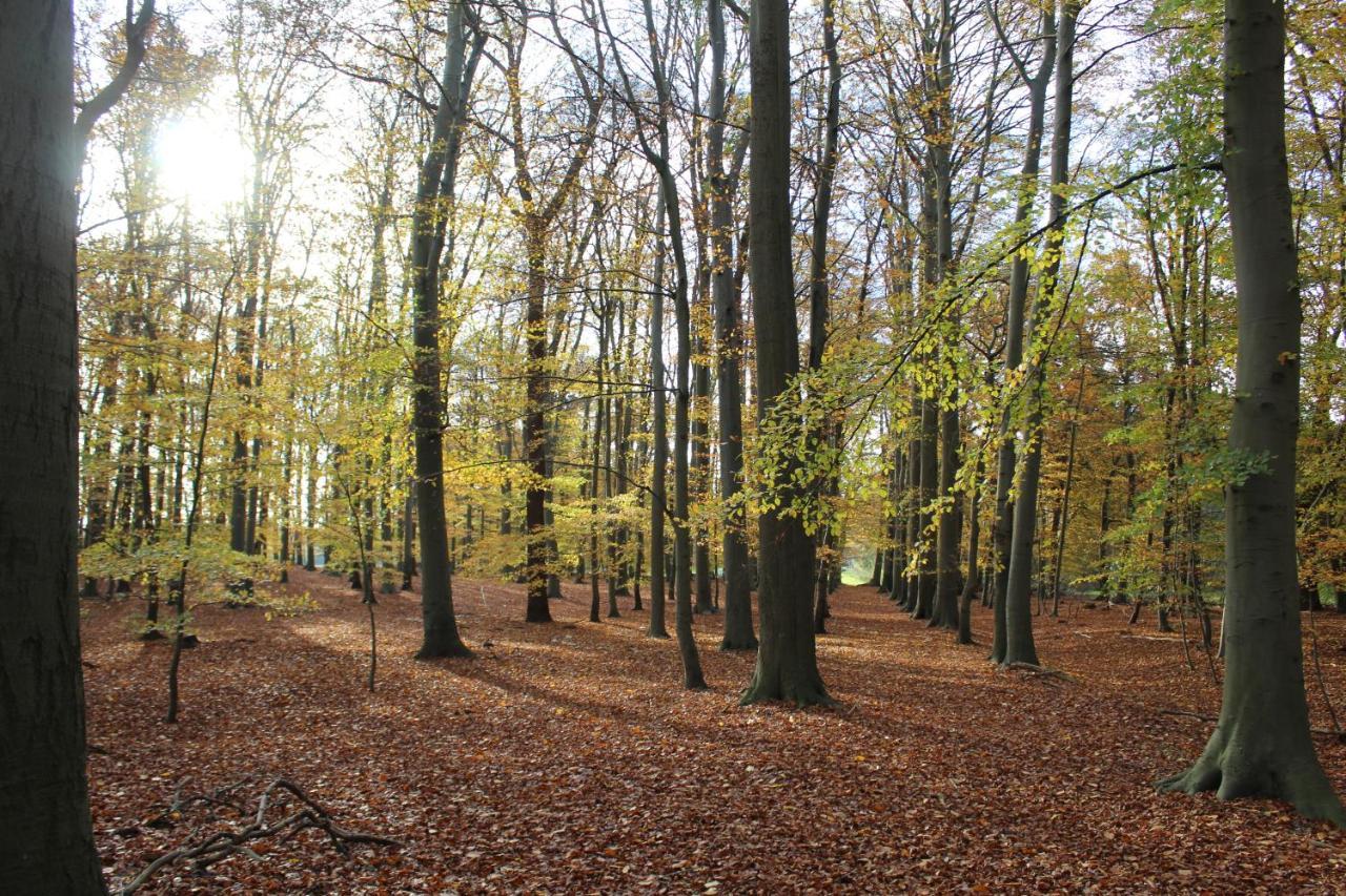 Ferienhaus Auf Gut Sautmannshausen Haselünne Extérieur photo